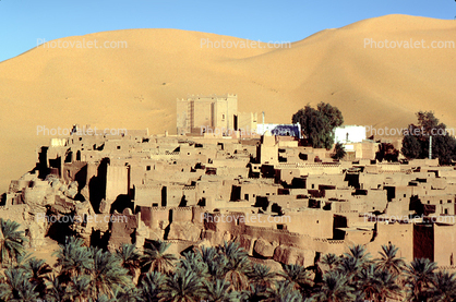 Village, buildings, palm trees, Sand Dunes, Sahara Desert