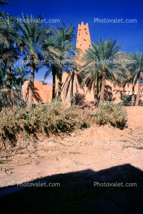 Sahara Desert, Tower, Palm Trees