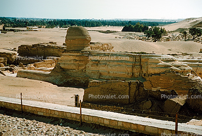 Sphinx, landmark, Giza, 1950s