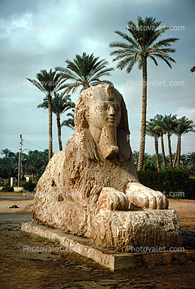 Sphinx, landmark, Memphis, Egypt, 1950s