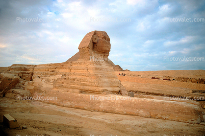 Sphinx, 1950s