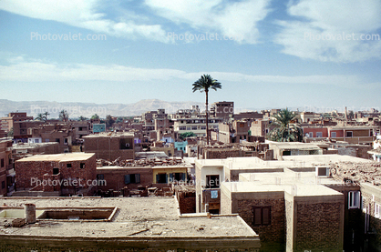 Homes, Buildings, Palm Tree, Cityscape, Luxor