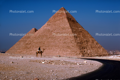 The Great Pyramid of Cheops, Road, Giza, camel