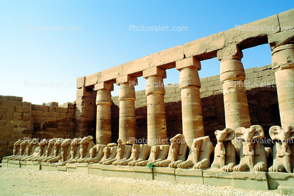 Rams, Karnak, Luxor, statues