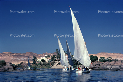 Dhal, Nile River