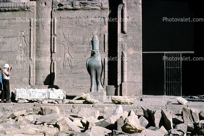 Temple of Edfu, Falcon, bar-Relief, Statue of Horus,  entrance to the large courtyard