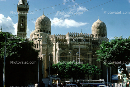 El-Mursi Abul-Abbas Mosque, Building, Tree, Tower, Alexandria