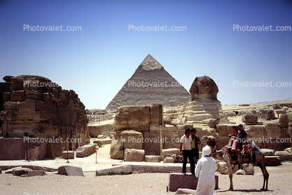 Sphinx, Pyramid of Cheops, Giza, Camel
