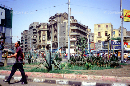 Cactus Garden, man walking, Buildings, Downtown Cairo