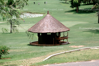 Abidjan, thatched roof, roundhouse, building, Sod