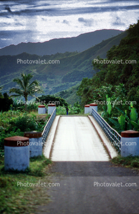 Bridge in the jungles, mountains