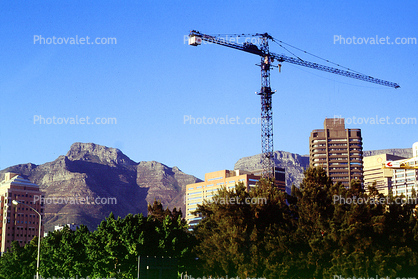 Crane, Mountains, Cape Town