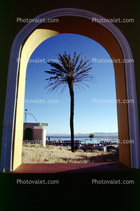 Palm Tree, Sand, Beach, Arch, Building, Cape Town