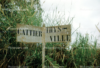 Cattier, Thysville, Signage, sign