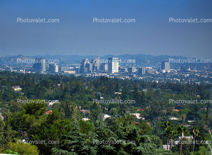 Glendale Skyline, Cityscape, Buildings, trees