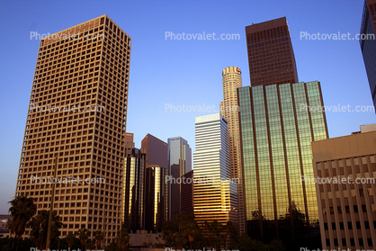 Los Angeles skyline, buildings, skyscraper, cityscape