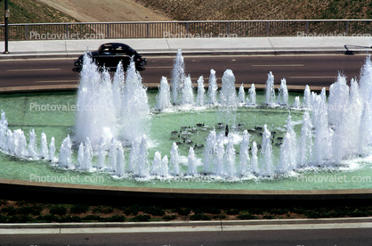 Water Fountain, aquatics, Century City