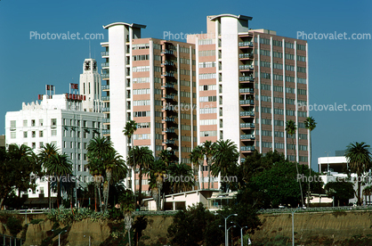Condominium buildings, palm trees