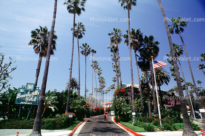 Beverly Hills Hotel, Palm Trees