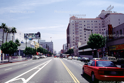 Hollywood Blvd, Car, Automobile, Vehicle, Roosevelt Hotel, street, road