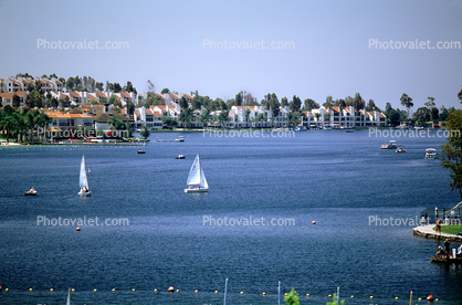 Sailboats, Homes, Lakeshore, Lake, water, buildings, Mission Viejo
