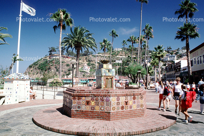Water Fountain, aquatics, tile, palm trees, Avalon
