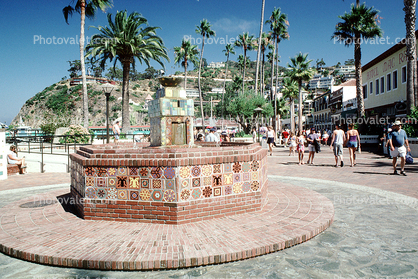 Water Fountain, aquatics, tile, palm trees, Avalon
