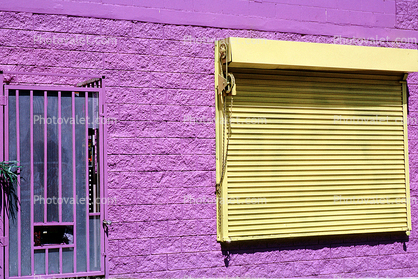 Purple Wall, Yellow window covering