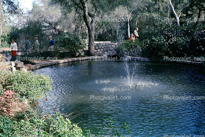 Water Fountain, aquatics, pond, April 1962, 1960s