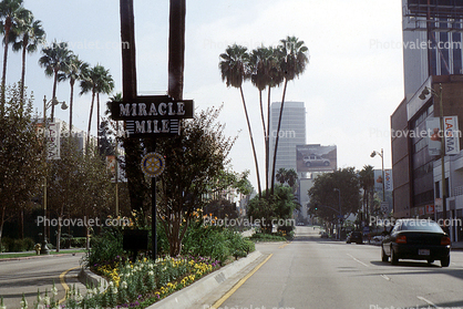 Wilshire Blvd, Miracle Mile, landmark buildings