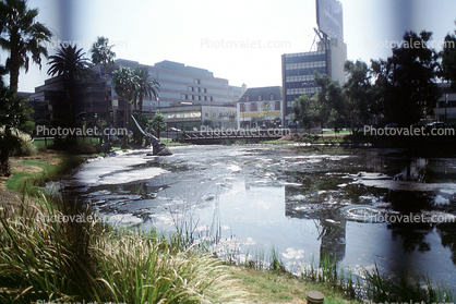 La Brea Tar Pits, Hancock Park