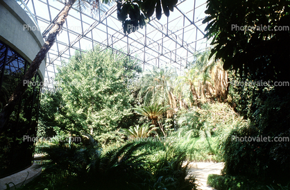 Page Museum, La Brea Tar Pits, Hancock Park