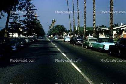 Cars, Palm Trees, Road, automobile, vehicles, Street, November 1955, 1950s