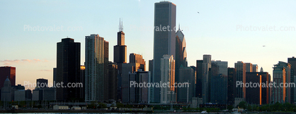 Cityscape, Skyline, Buildings, Skyscraper, Downtown, Panorama