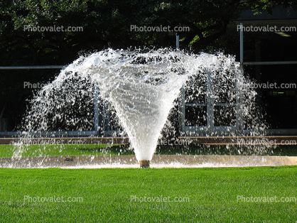 Water Fountain, aquatics, University of Chicago, lawn