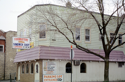 Foodbusters Sandwich Shop, bare tree