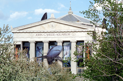 Shedd Aquarium