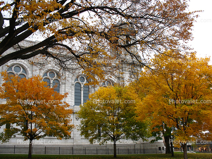  St Mary Basilica, Minneapolis, Roman Catholic minor basilica, autumn
