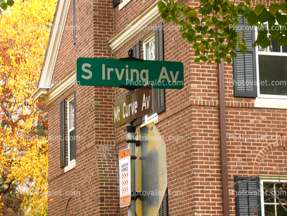 street sign, autumn