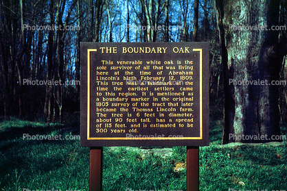 The Boundary Oak, Abraham Lincoln Birthplace National Historical Park