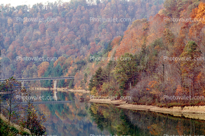 fall colors, Autumn, Trees, Vegetation, Flora, Plants, Colorful, Beautiful, River, Woods, Forest, Exterior, Outdoors, Outside, Bucolic, Rural, peaceful, woodlands, Carr Fork Lake