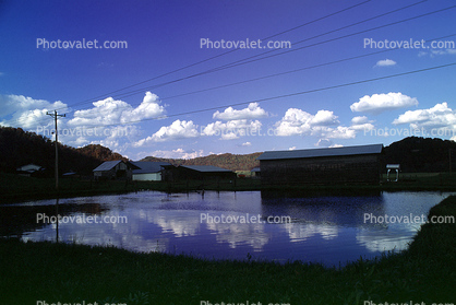 barn, outdoors, outside, exterior, rural, building, pond, reflection