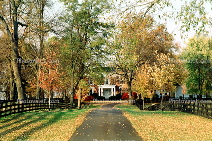 Pathway, Driveway, home, house, residence, building, trees, autumn, Lexington
