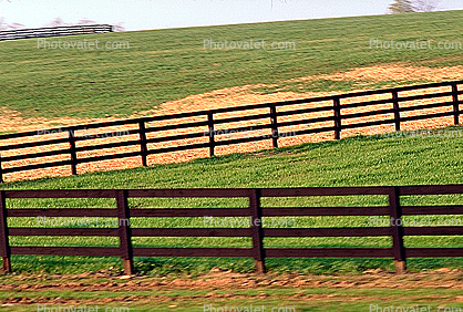 Fence, Grass, Lawn, Lexington