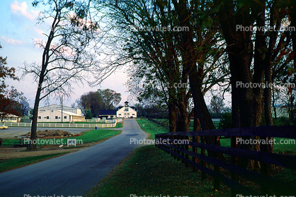 driveway, home, buildings, trees, Lexington