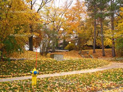 Marquette, autumn