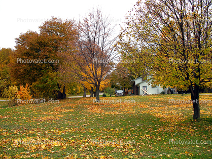 house, housing, home, single family dwelling unit, fall colors, leaves, lawn, Grand Marais, autumn