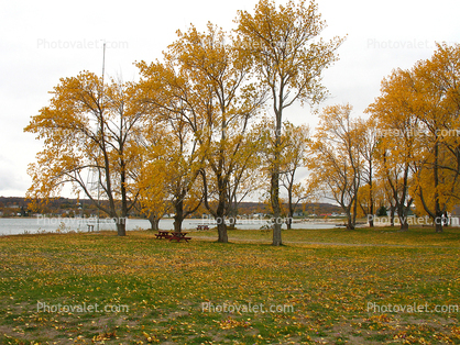 fall colors, trees, Grand Marais, Pictured Rocks National Lakeshore, autumn