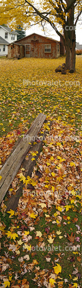Panorama, house, housing, home, single family dwelling unit, fall colors, leaves, Building, domestic, domicile, residency, tree, Port Sanilac, Michigan, autumn