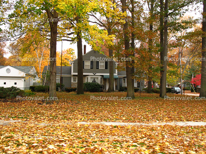 fall colors, Autumn, Trees, Vegetation, Flora, Plants, Exterior, Outdoors, Outside, home, house, single family dwelling unit, building, domestic, domicile, residency, housing, Bay Village